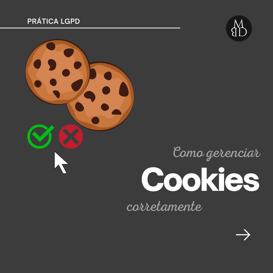 Cookies na prática: escolhas de navegação — lâmina 1 de 4.